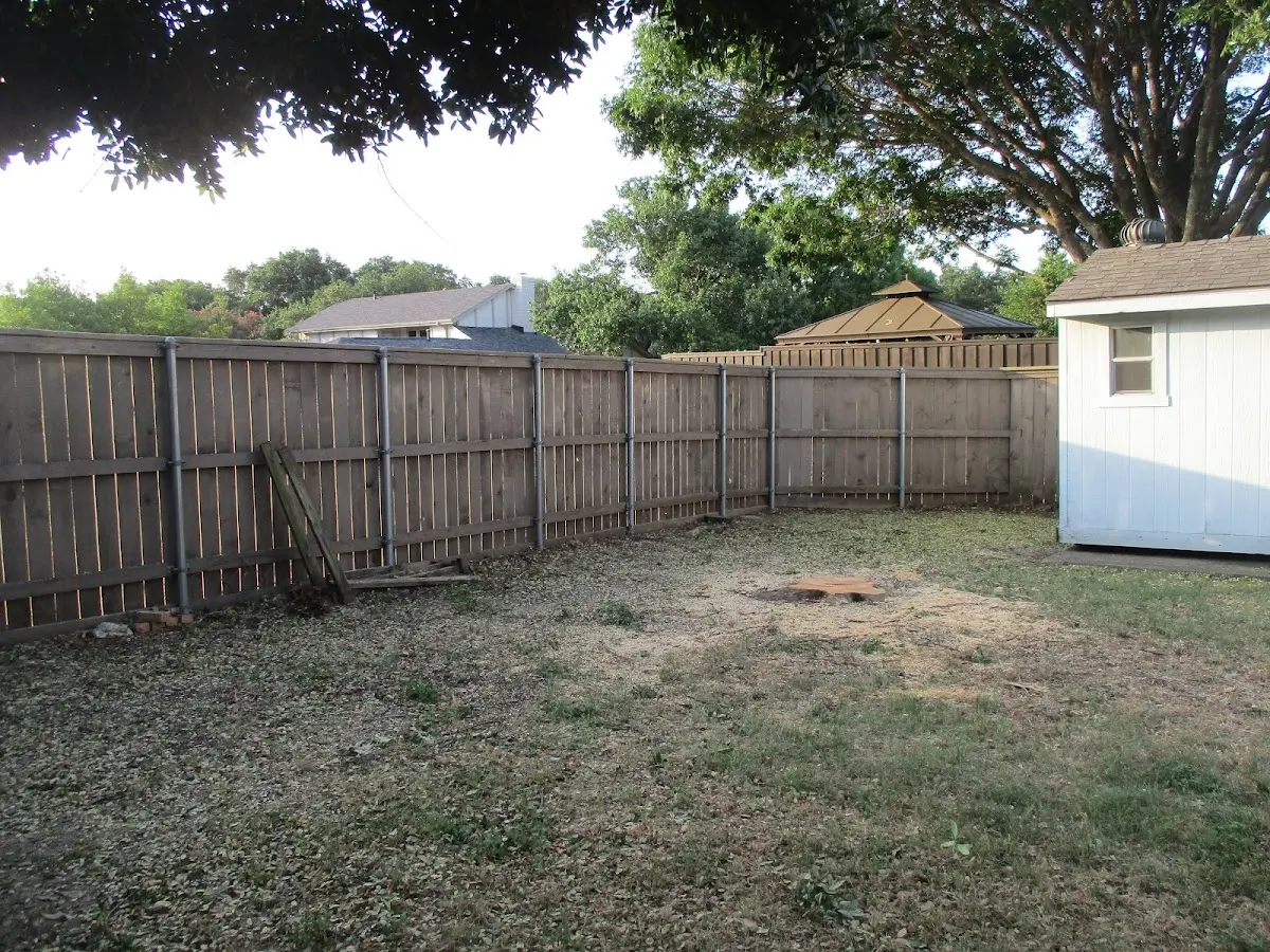 Cleared yard after professional tree removal in Pine Valley